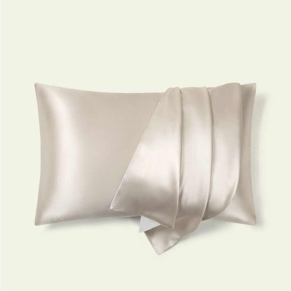 NWT Lilysilk Mulberry Silk Gray Pillowcase